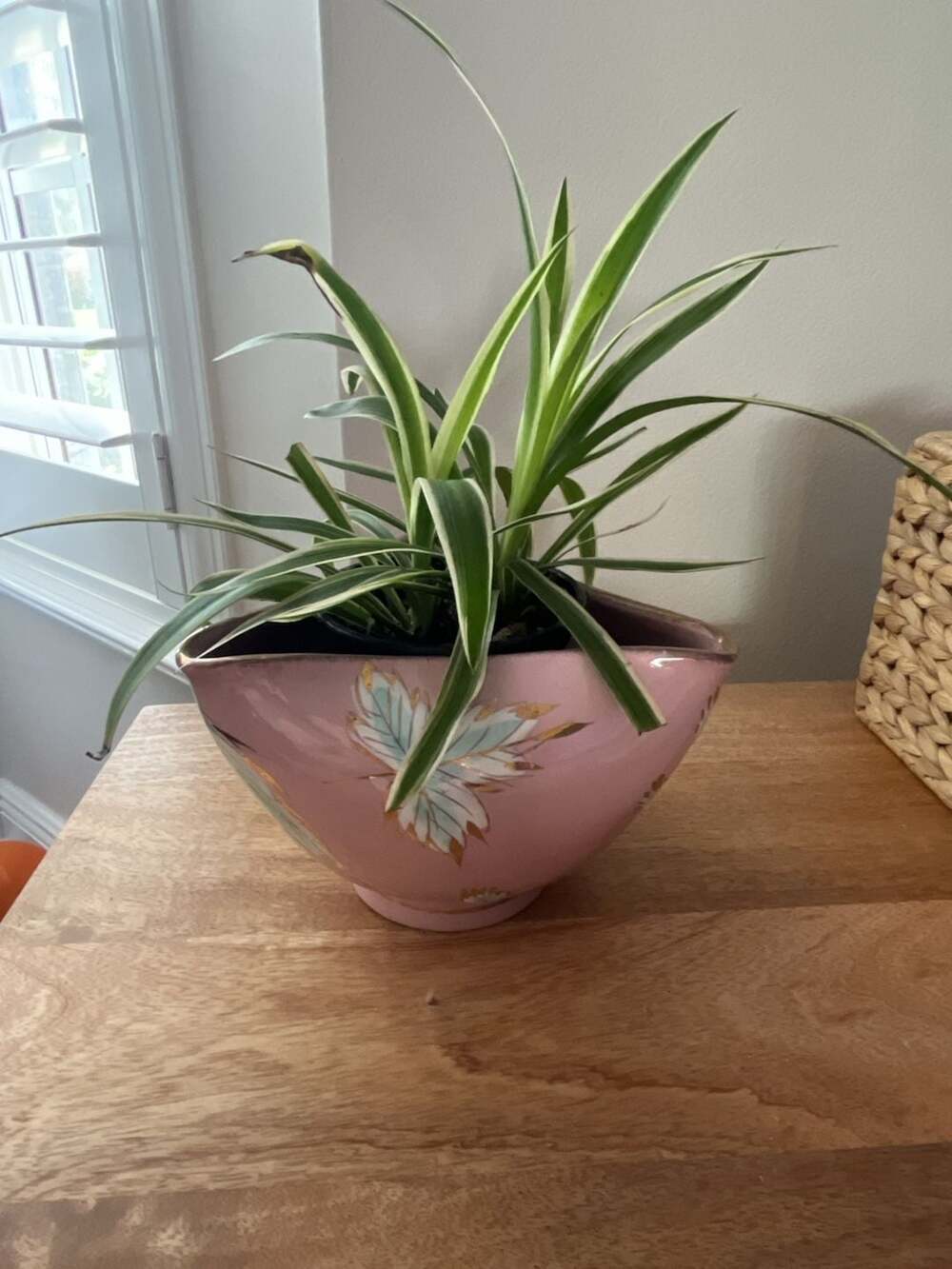 Vintage Pink Ceramic Plant Pot with Hand-Painted Floral Design and Gold Trim